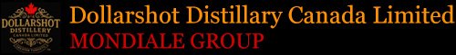 Mondiale Dollarshot